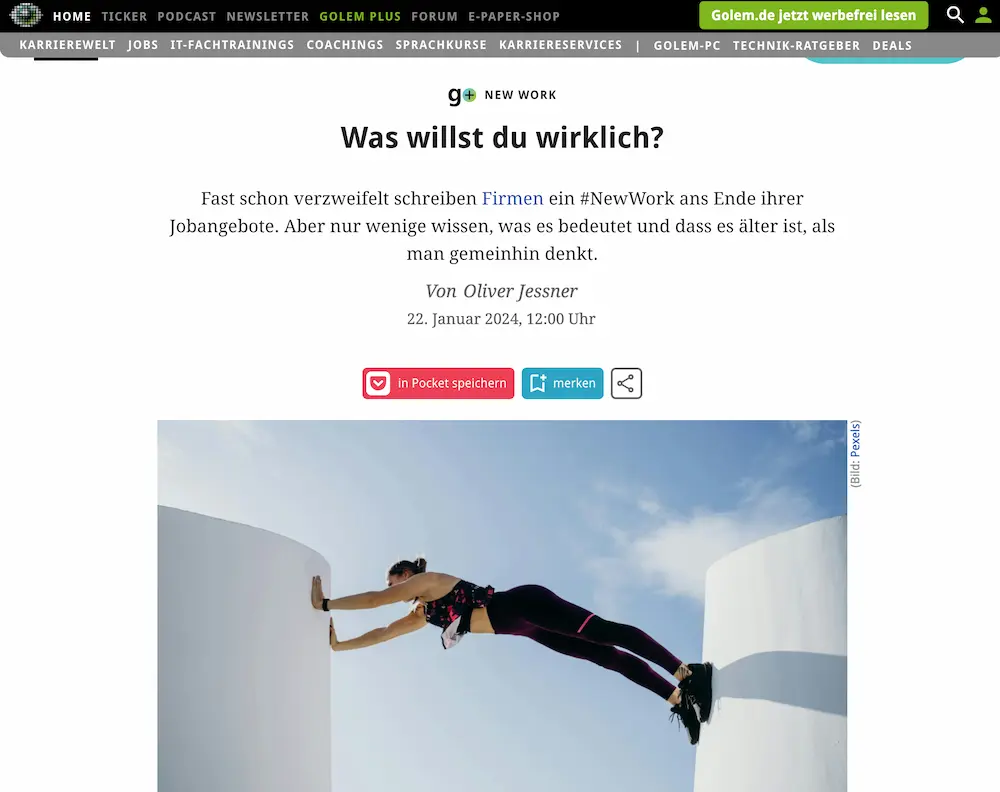 screenshot meines Artikel