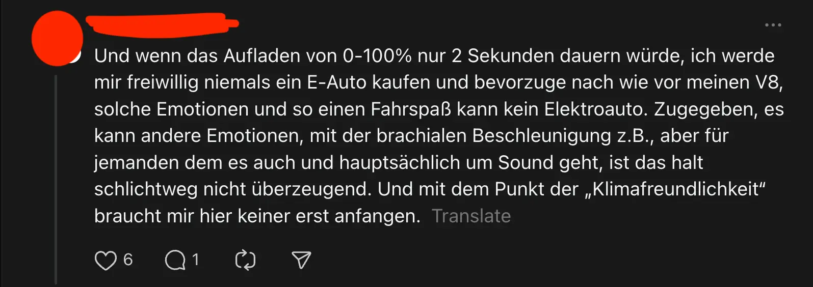 Ein Nutzer schwärmt von der Fahrfreude eines E-Autos