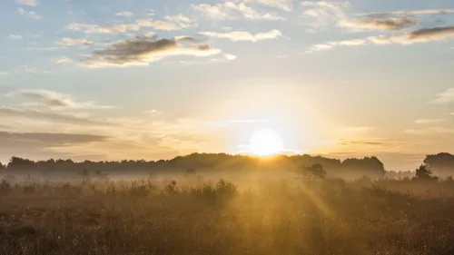 Programmiersprache Gleam: Die Javascript-Features, auf die wir seit Jahren warten